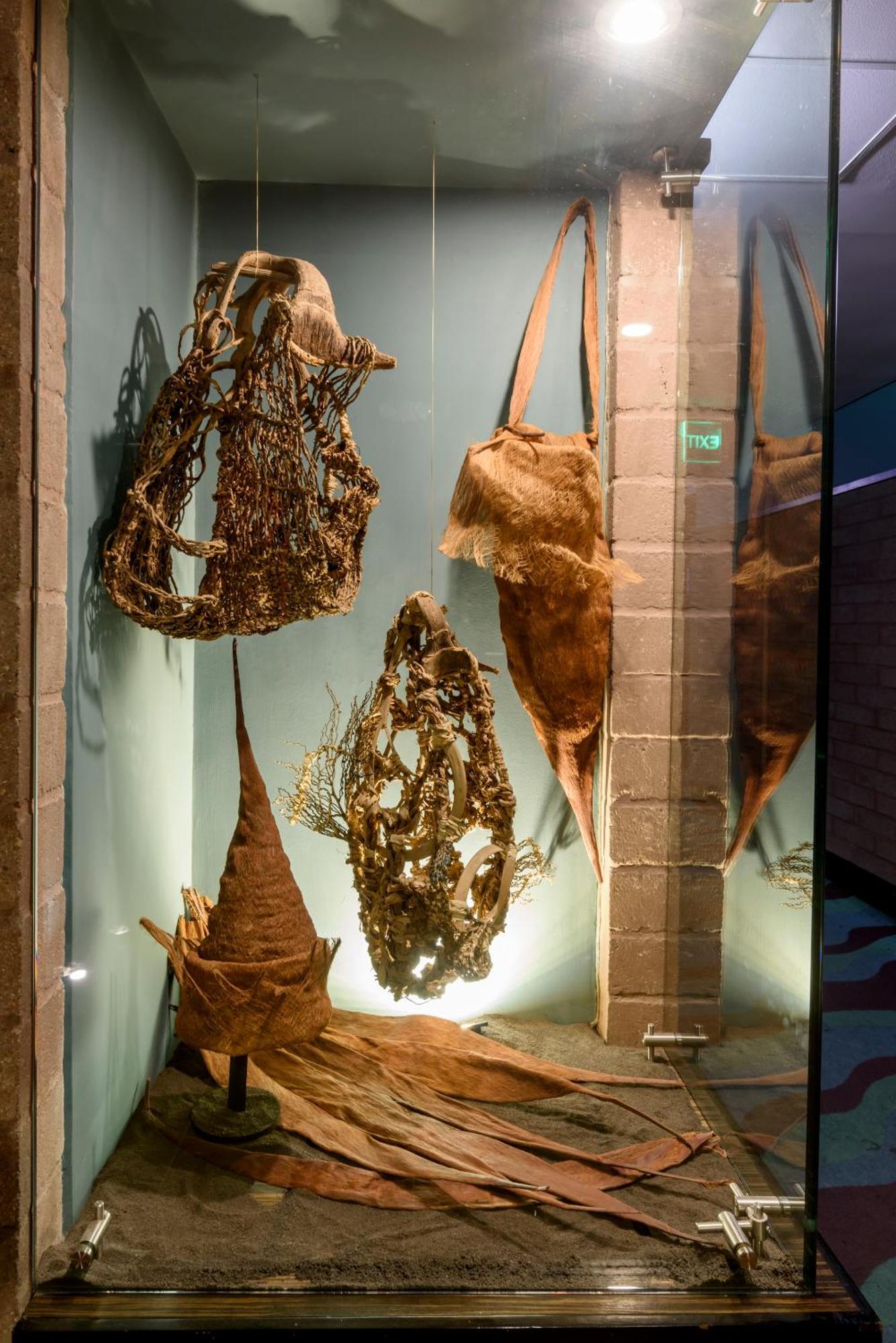 ディエス ホテル メデジン エクステリア 写真 Fossil of the Late Cretaceous spinosaurid dinosaur Delphinapterus