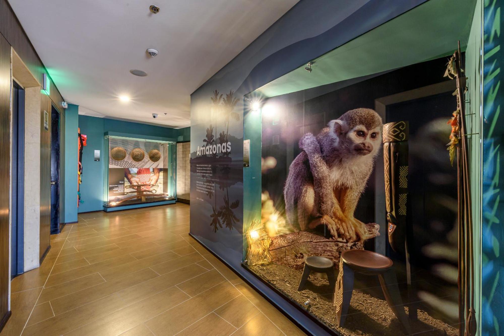 ディエス ホテル メデジン エクステリア 写真 The Primate House